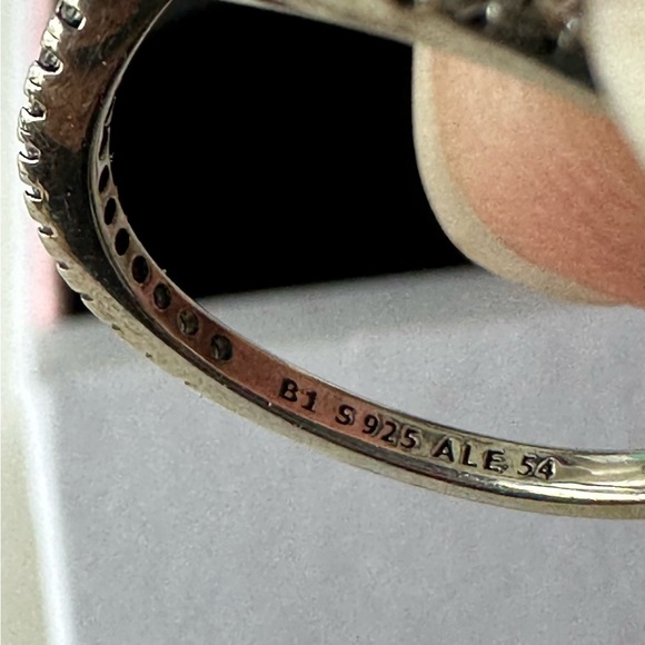 Pandora Sparkling Wish Bone - Picture 2 of 3